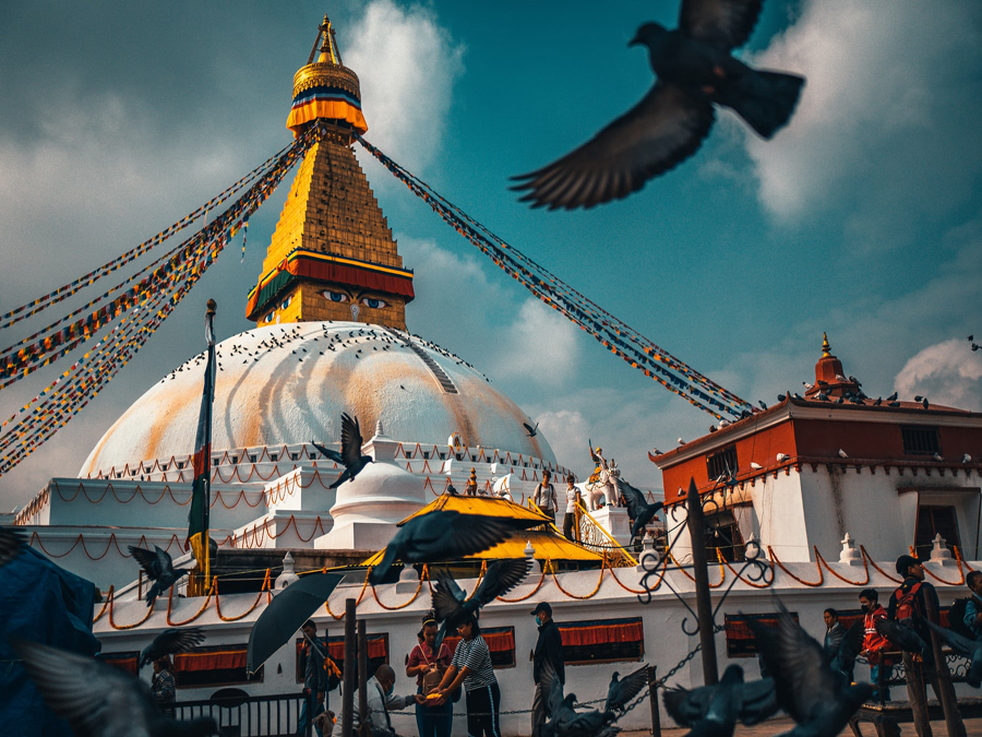 Vibes of Buddha